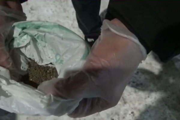 Кракен сайт нарк