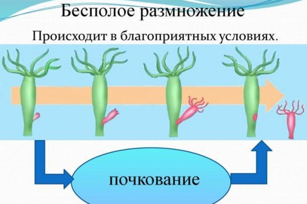 Как зарегаться в кракен